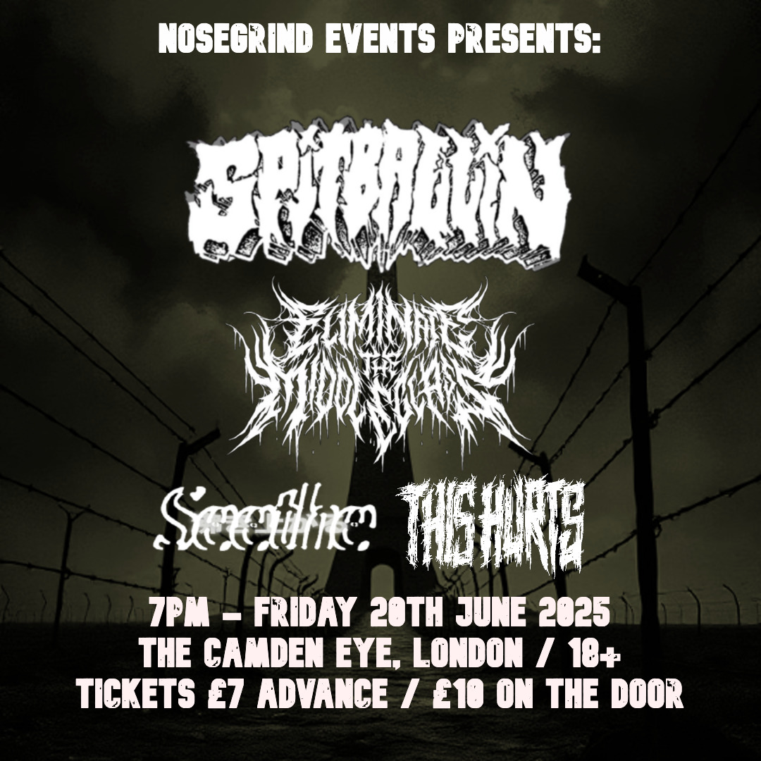 Flyer for the Spitballin / Eliminate The Middle Class / Seethe / Hearing Tests show