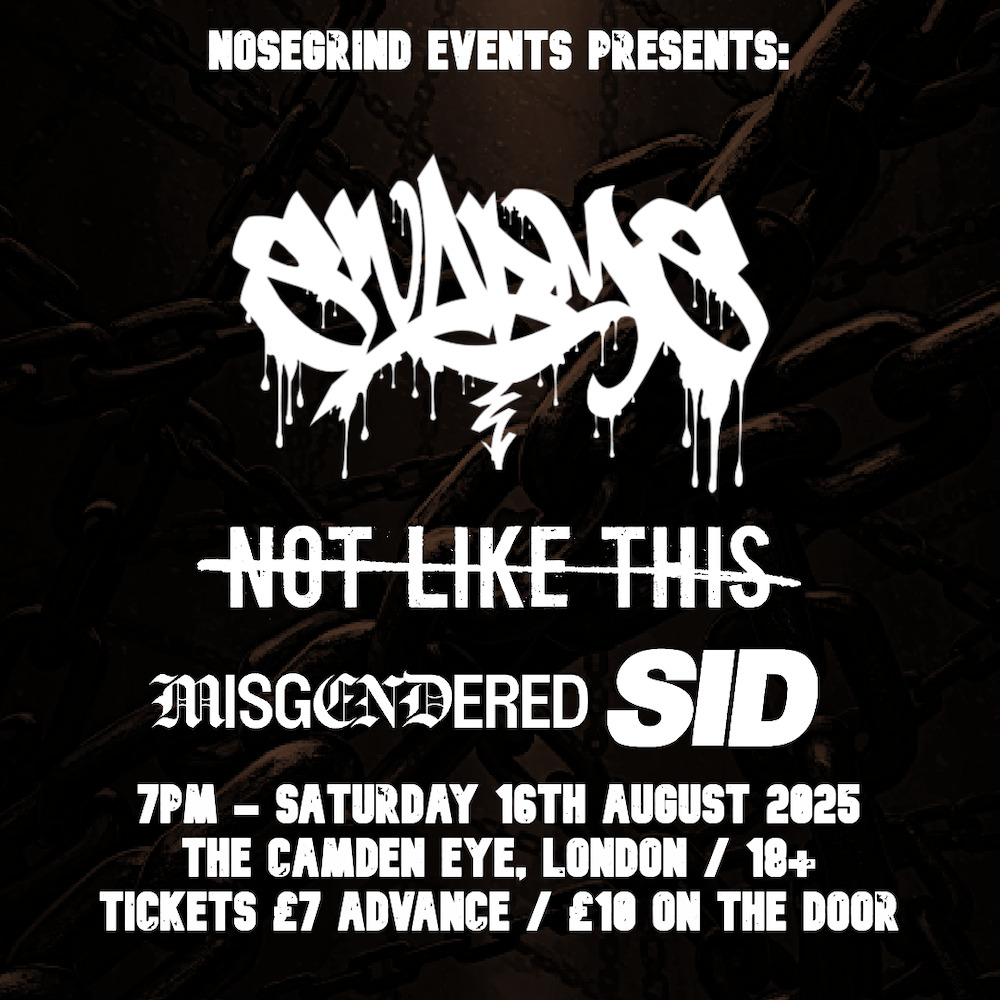 Flyer for the Swarms / Not Like This / Misgendered / Sid show