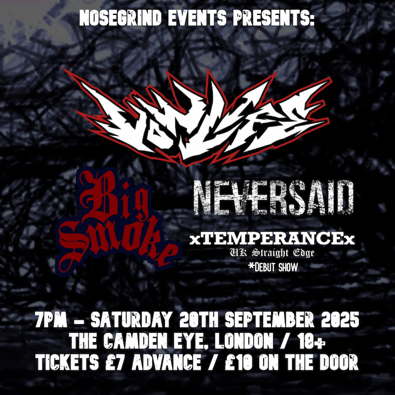 Flyer for the Low Life / Big Smoke / Neversaid / xTemperancex show